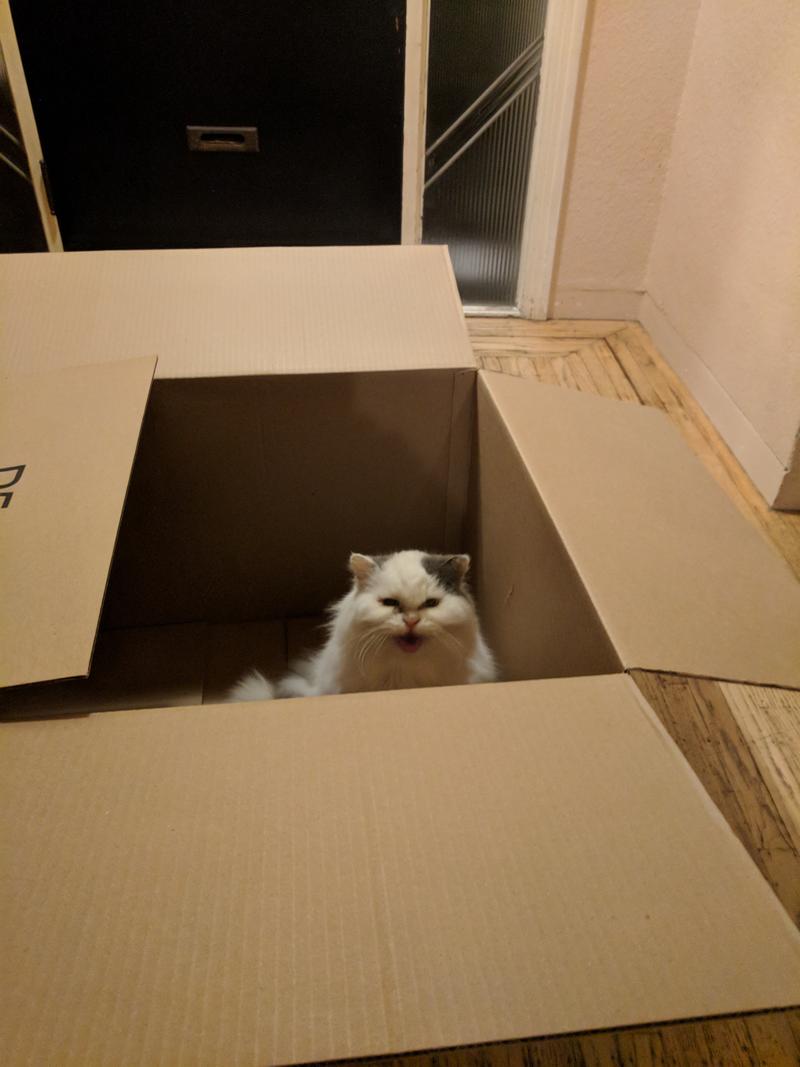 Butters sitting in box making noises
