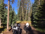 Bikes at sunny camp site