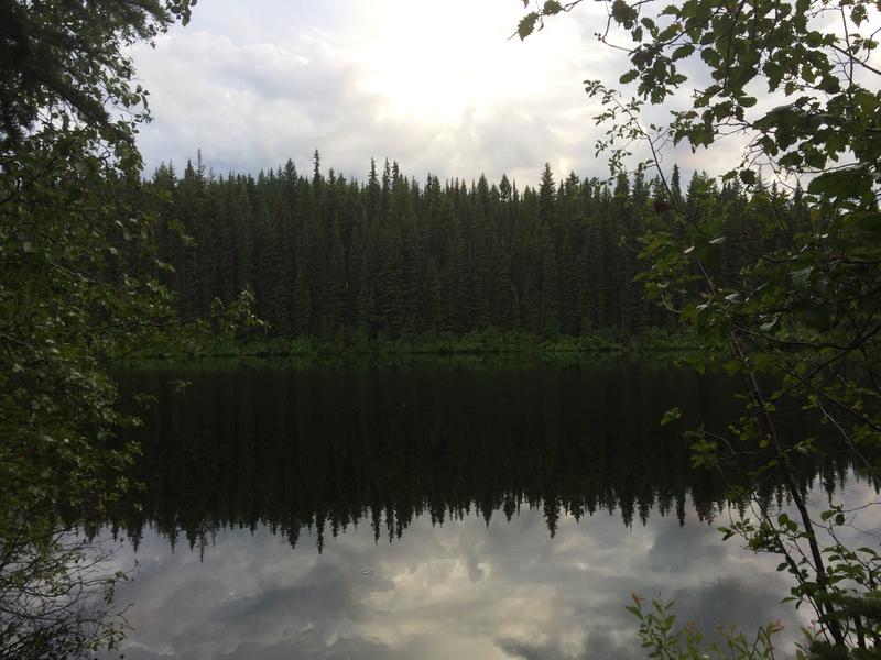 Small lake around sunset