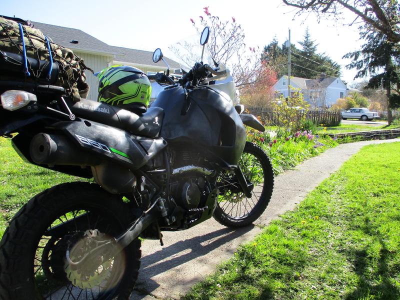 My motorcycle Frank in front of flowers