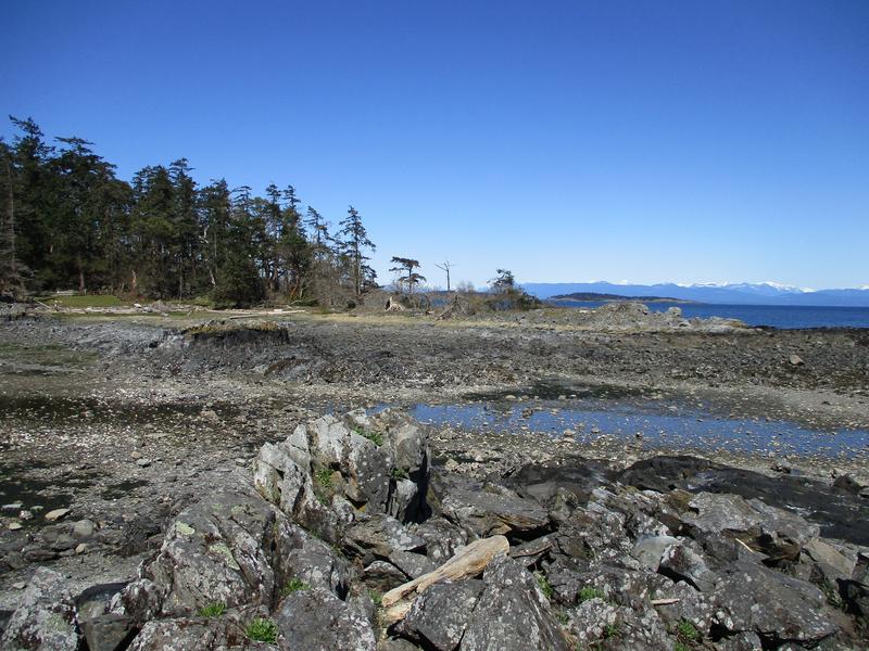 Rocky ocean shore with shallow pool